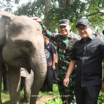 Ketua DPRD Lampung: Atensi Presiden Jadikan Way Kambas Percontohan Nasional Harus Dikawal Bersama