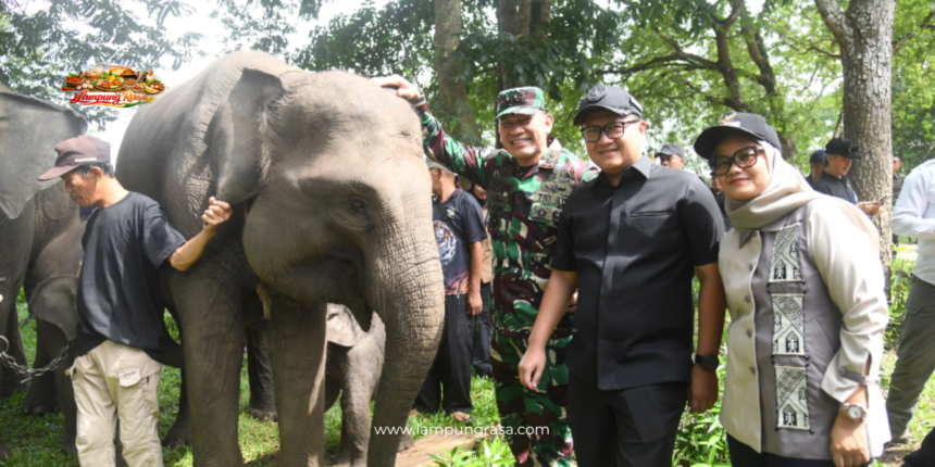 Ketua DPRD Lampung: Atensi Presiden Jadikan Way Kambas Percontohan Nasional Harus Dikawal Bersama